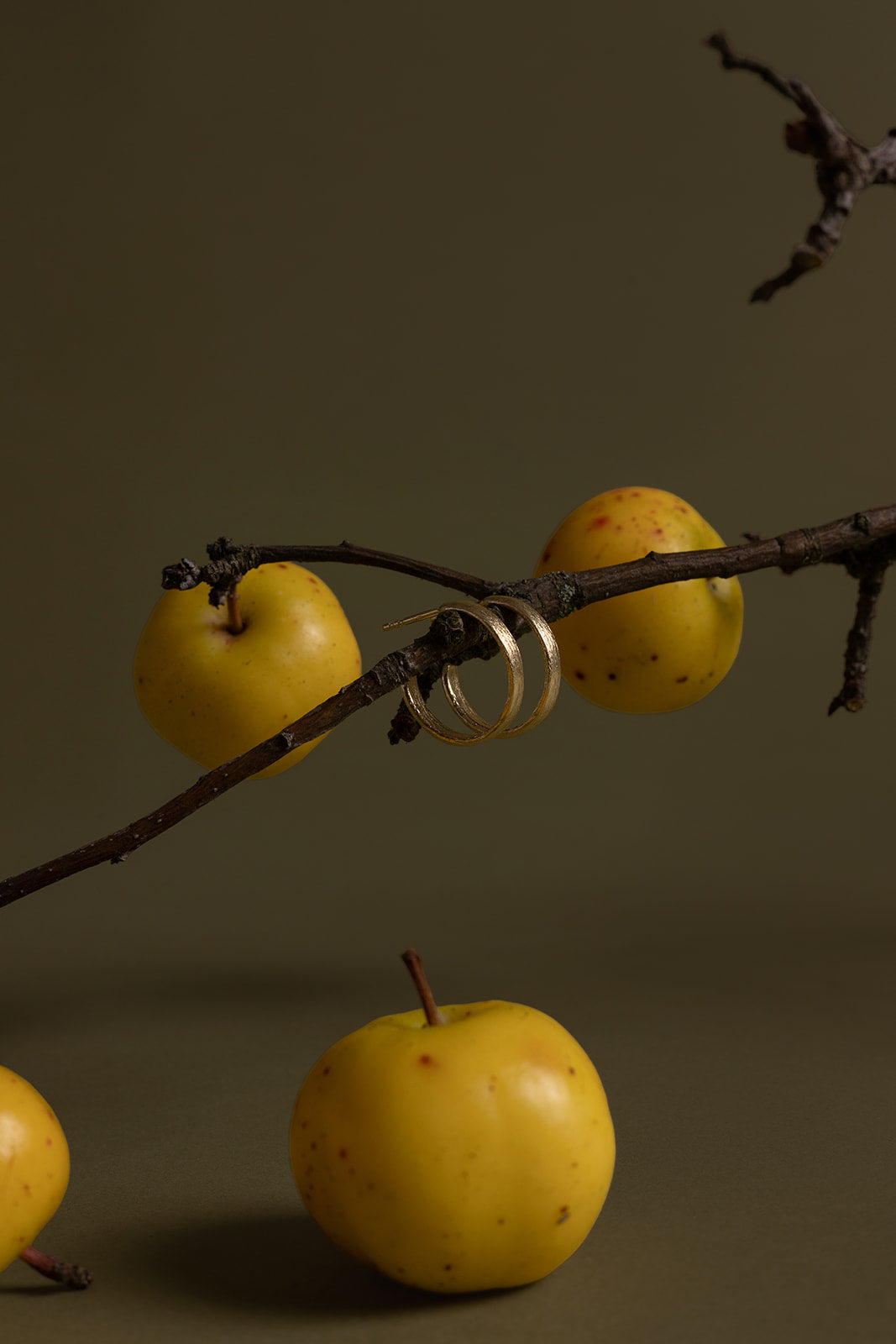 Náušnice Kruhy II.