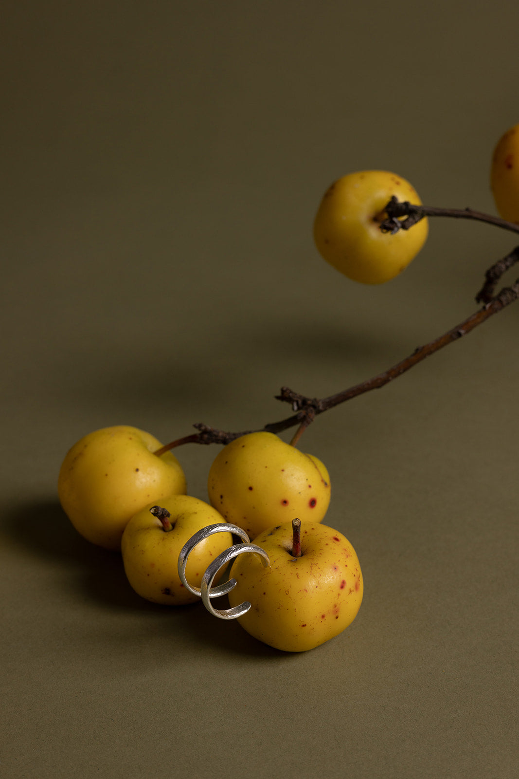 Náušnice Kruhy II.